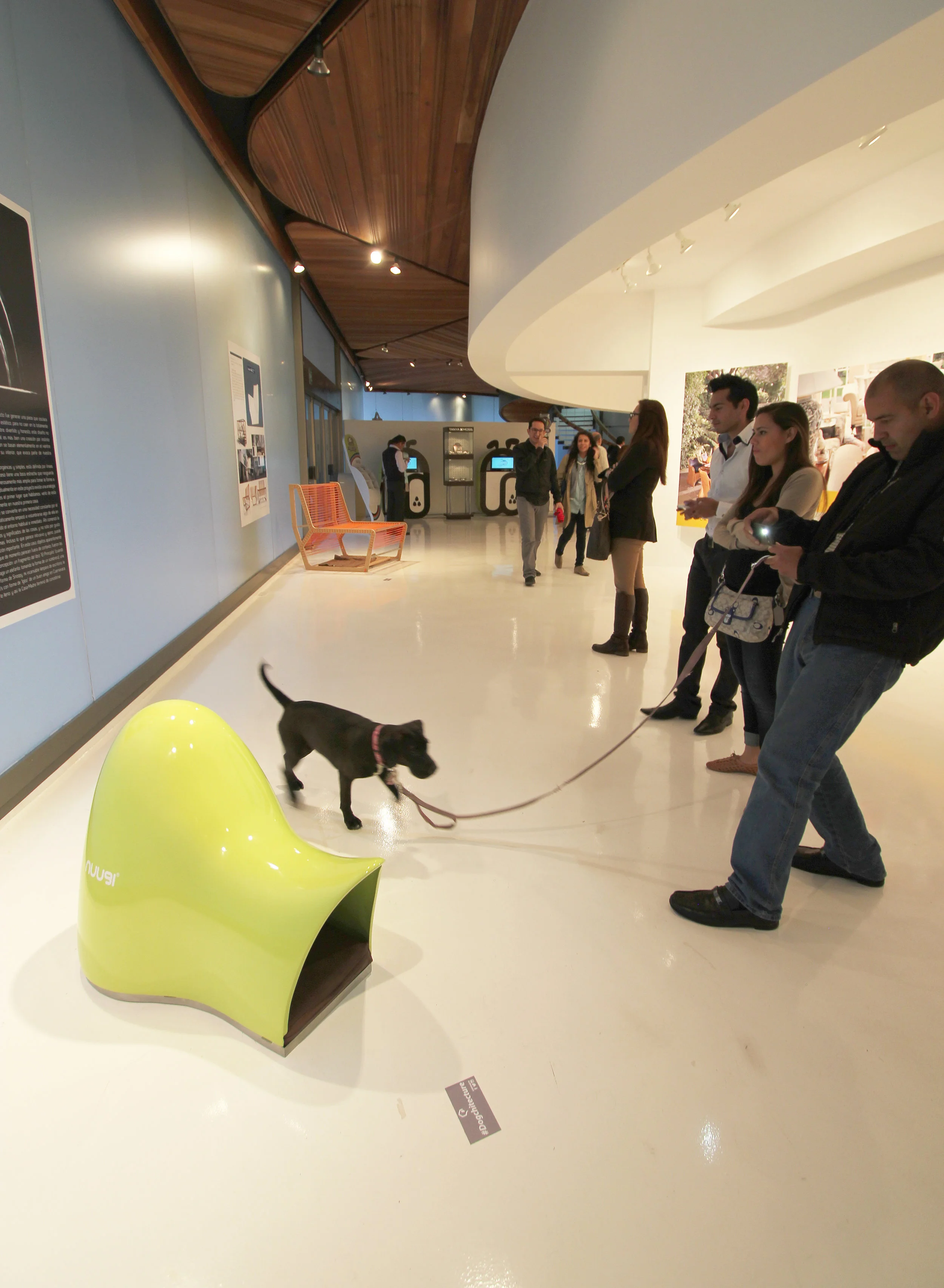 20130624_DOG_XPO_04_SSI.jpg