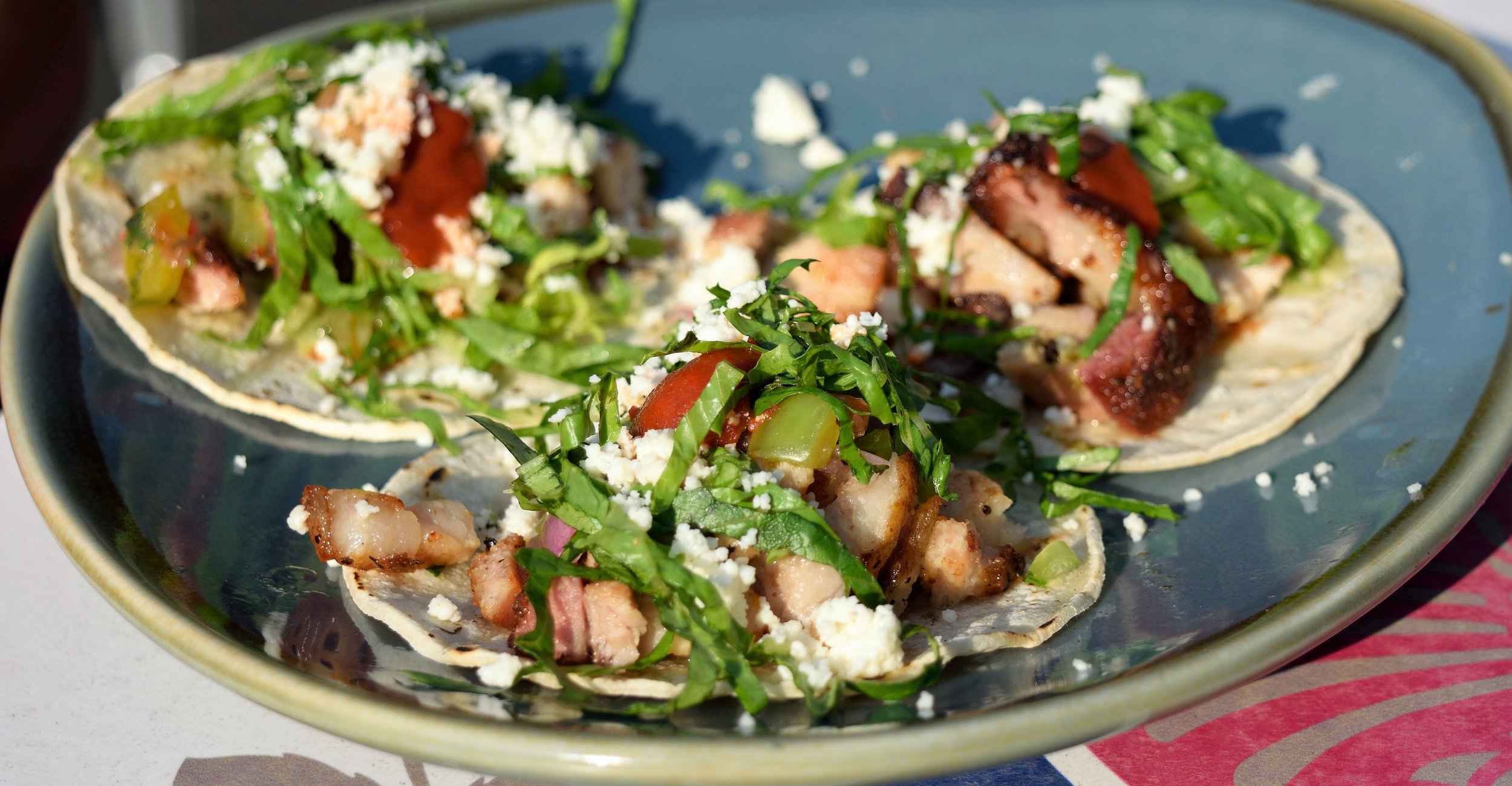 Pork Belly Tacos! Who doesn't like tacos!?
