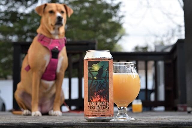 Jello the Dog isn't a monster! But right in front of her is &quot;Here there be Monsters&quot; from Twin Elephant Brewing. Anything with Vic Secret will always appeal to me and apparently to Jello as well! Right under 7% with citrus running wild on m