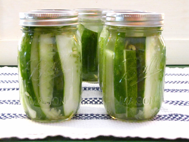 refrigerator dill pickles