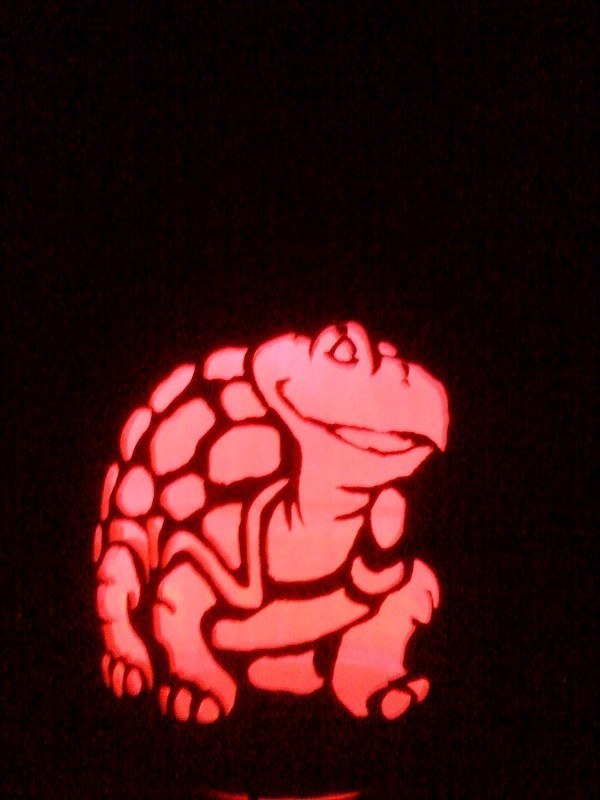 turtle.jpg