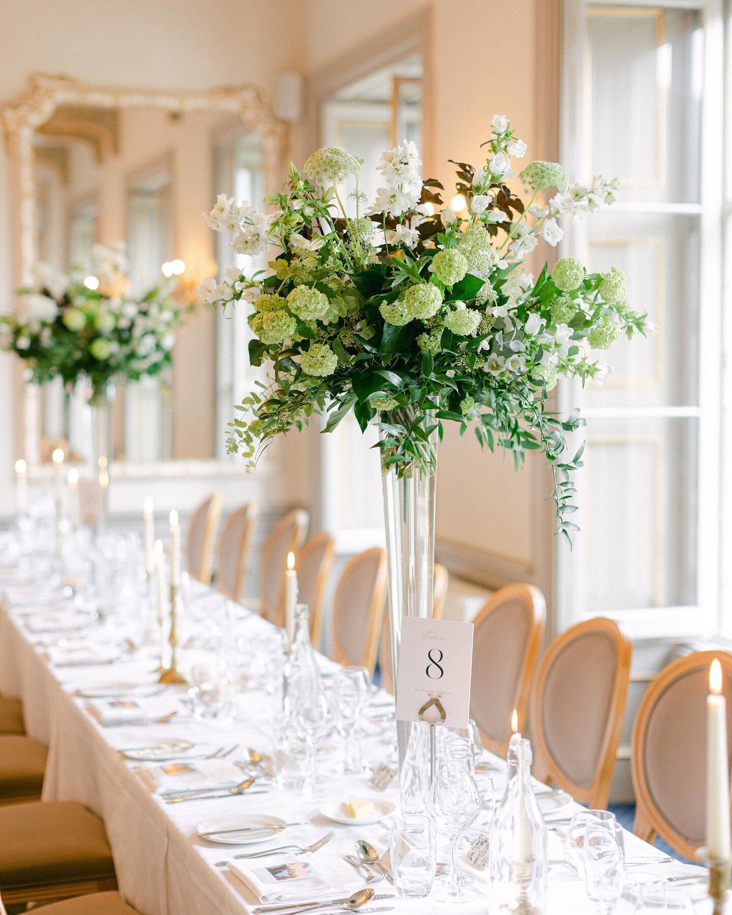 Elevated botanical glass vases for Destination couple Maggie and Garrett.🇺🇸

Pops of zingy viburnum snowballs ,campanula,delphinium,ammi and all the greens.🤍

Planning@waterlily weddings
Photographer @peter_carvill

#markreecastle #markreecastlewe
