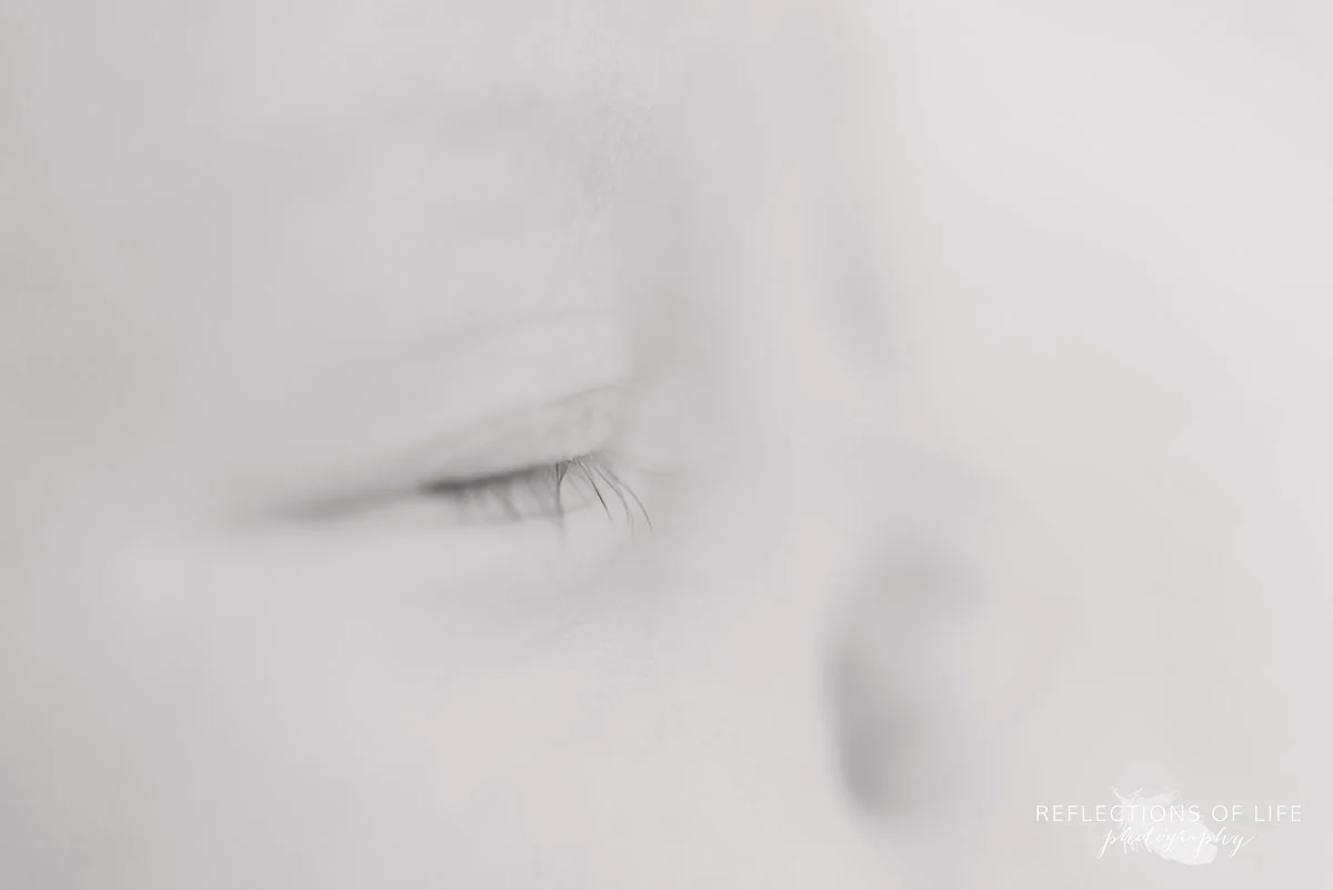 Niagara ON Newborn Photographer