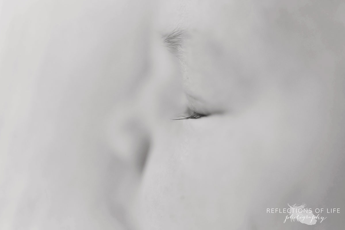 Close Up Baby Eyslashes Niagara Region Ontario