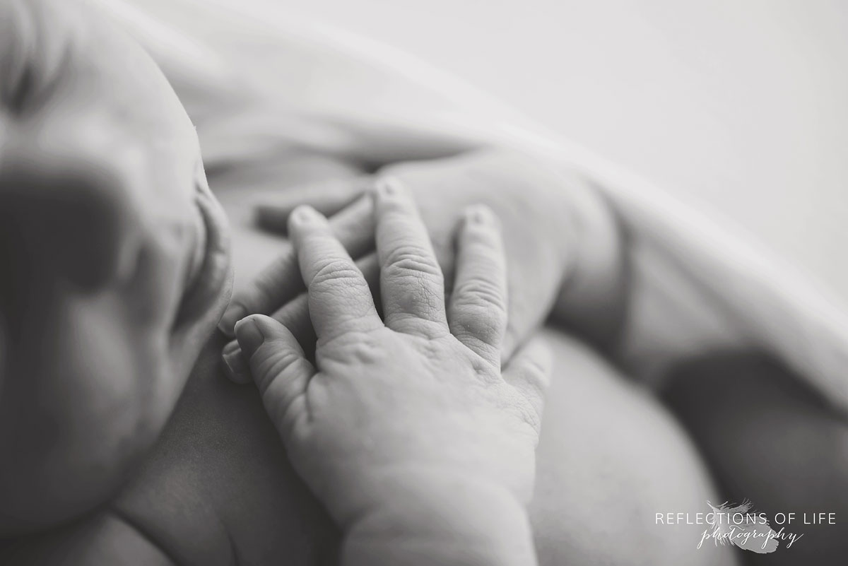 007 Top Ten Favourite Newborn Images baby hands