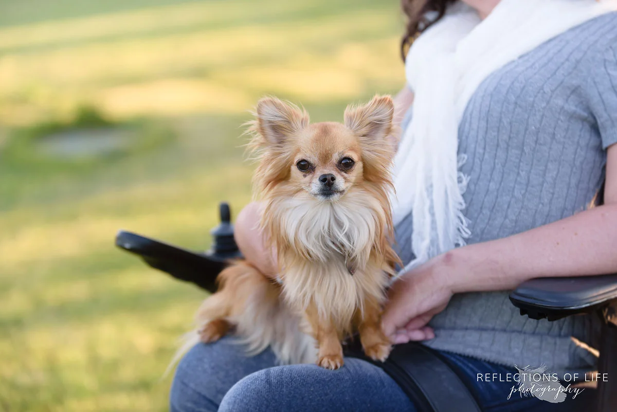 007 Professional Toronto Family Photos Cute little Dog