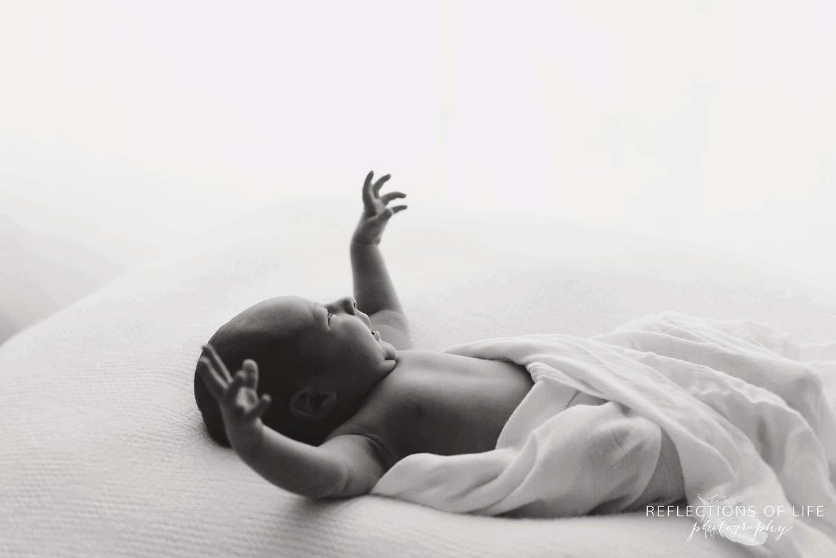 006 Professional Baby led posing Grimsby Ontario Canada, Newborn swaddled with his arm up in the air