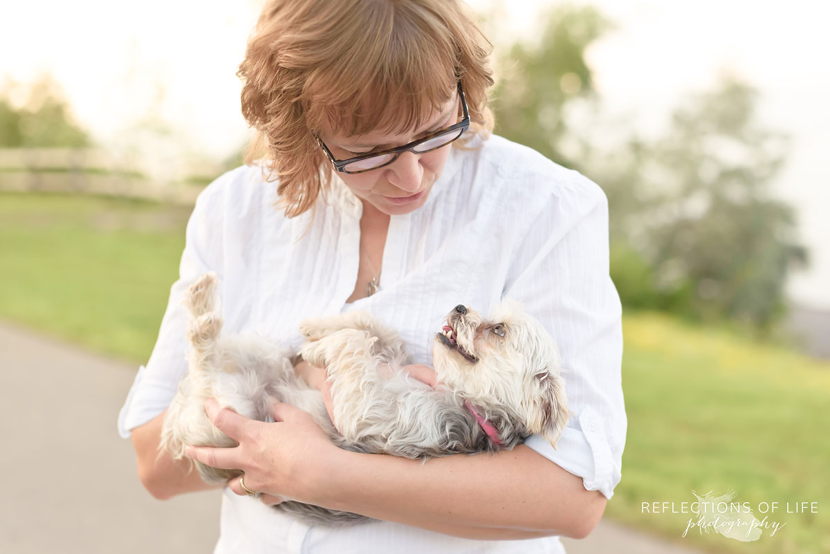 Morkie Pet Photography Grimsby Ontario