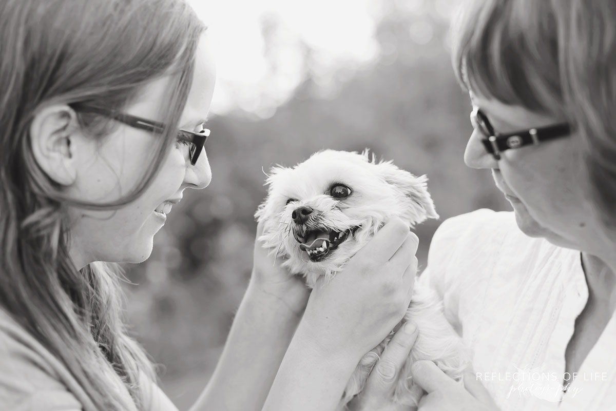 Morkie Pet Photos with family in Niagara Region of Ontario Canada