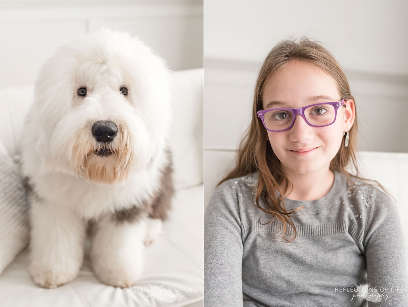 old english sheepdog and young girl happy smiling