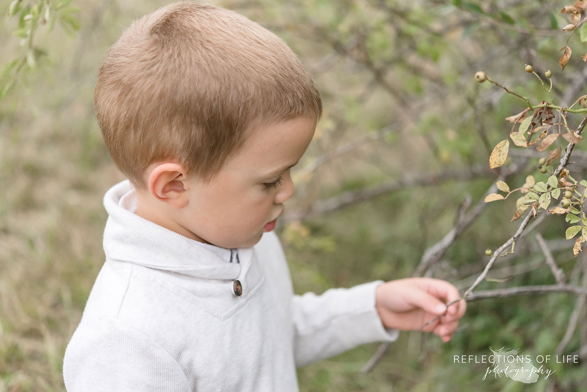 014 young boy looking at a tree branch