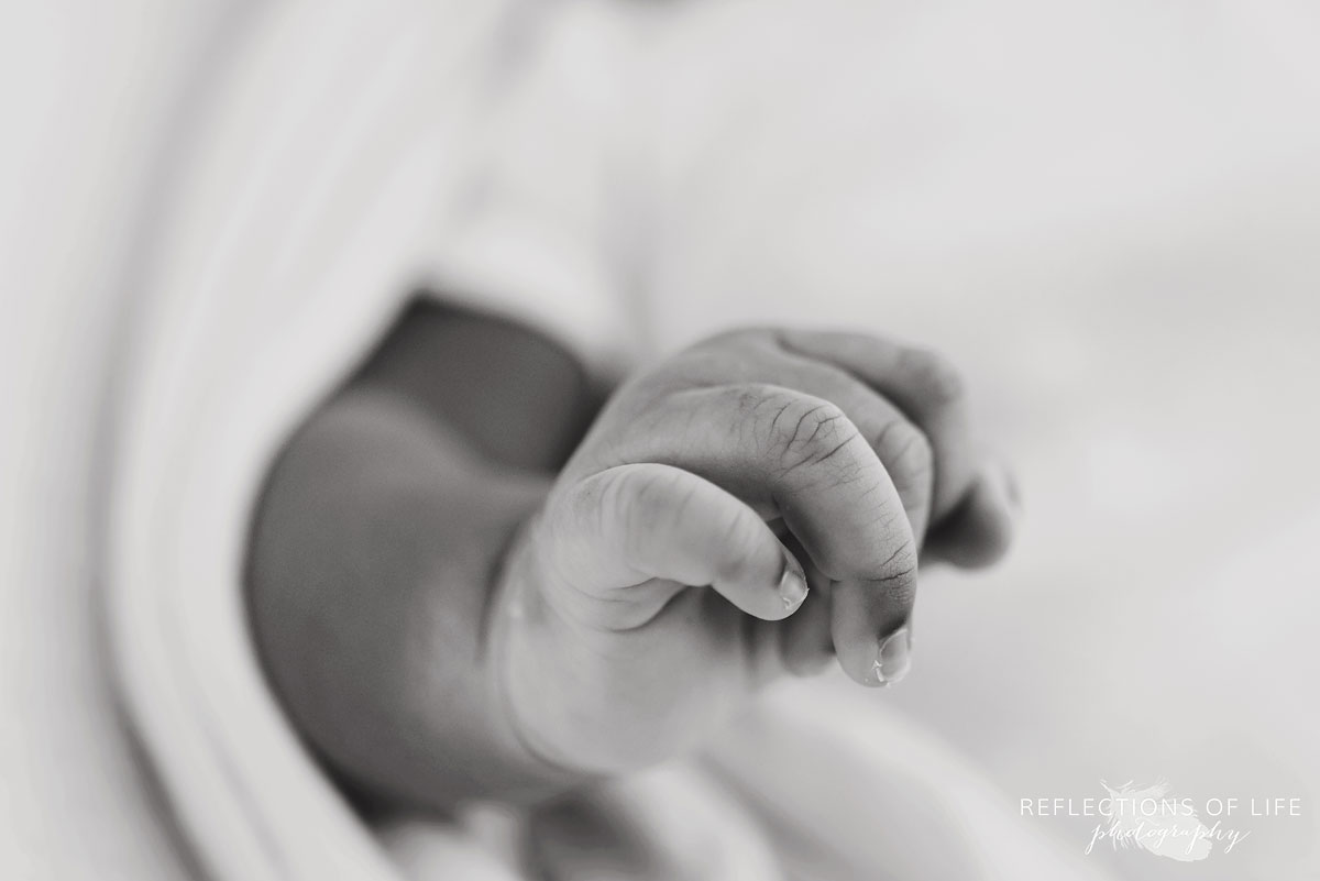 Newborn baby hands close up