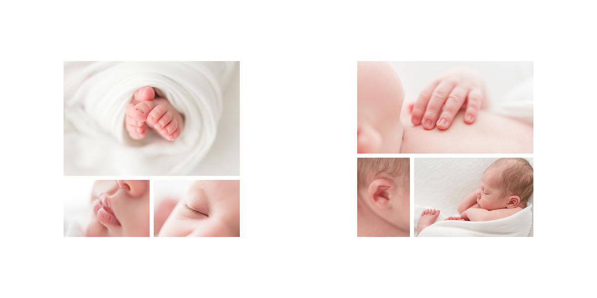 Newborn and Family Photographer