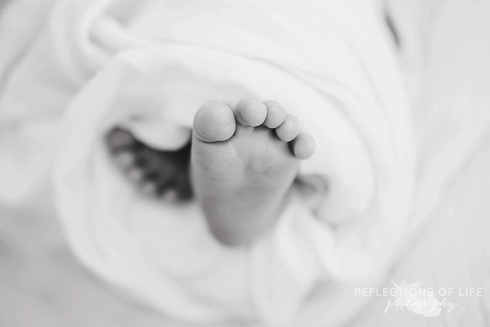 newborn baby toes and feet in Niagara Falls Ontario natural light studio.jpg