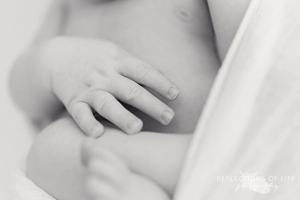 Newborn baby boy hands in natural light photo studio Niagara