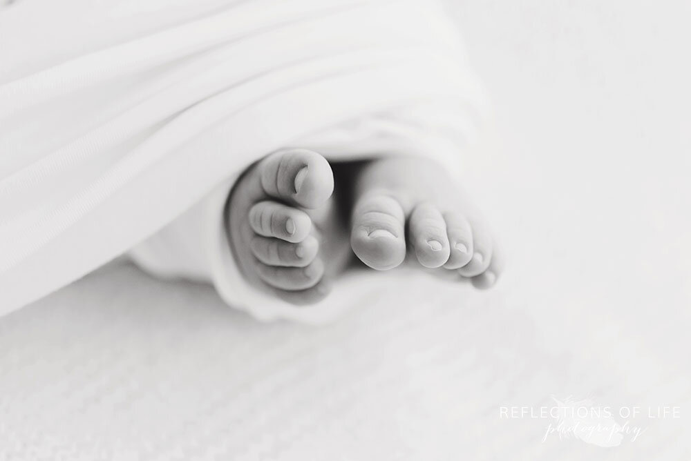 Newborn baby toes Niagara Region new baby photographer