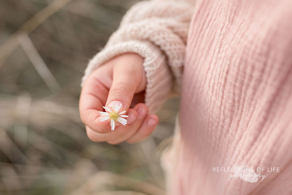 Child photography Niagara wildflower in a little girl's hand