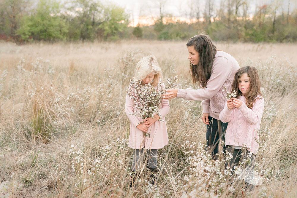 Mama picking flowers in the field with her daughters in Grimsby Ontario
