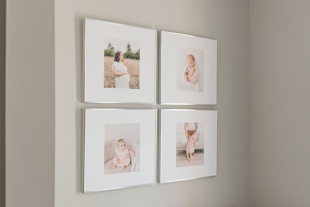 Professional Photography Framed Porraits of Baby's First Year