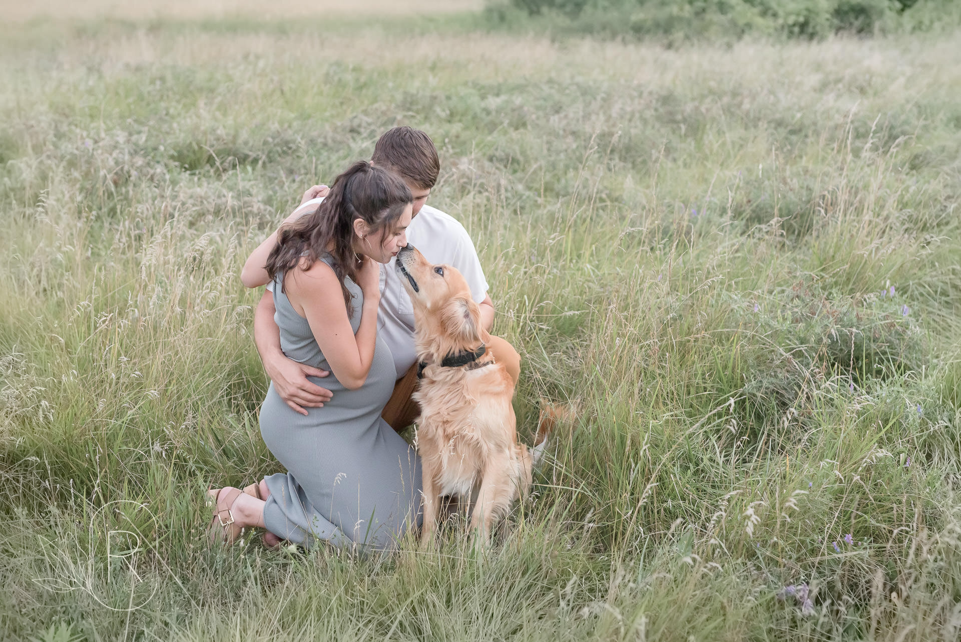 maternity photography with dog