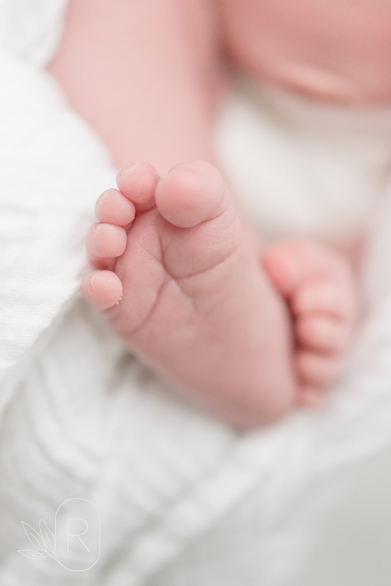 little-newborn-feet-remove-stress-preserve-memories-reflections-family-photographer-niagara-ontario.jpg