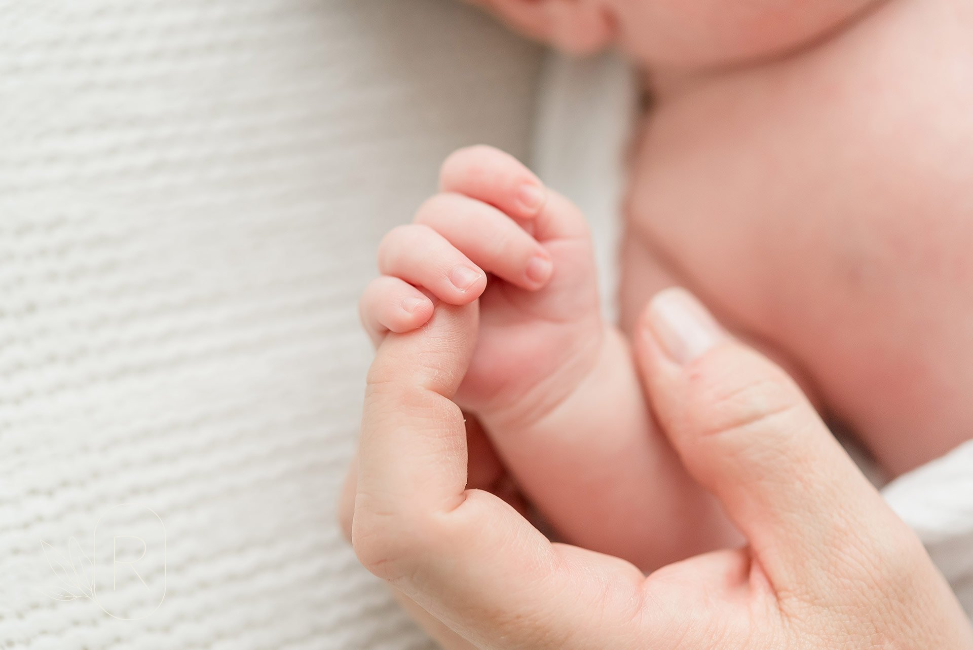 little-newborn-fingers-holding-hands-family-photography-Reflections-niagara-ontario.jpeg
