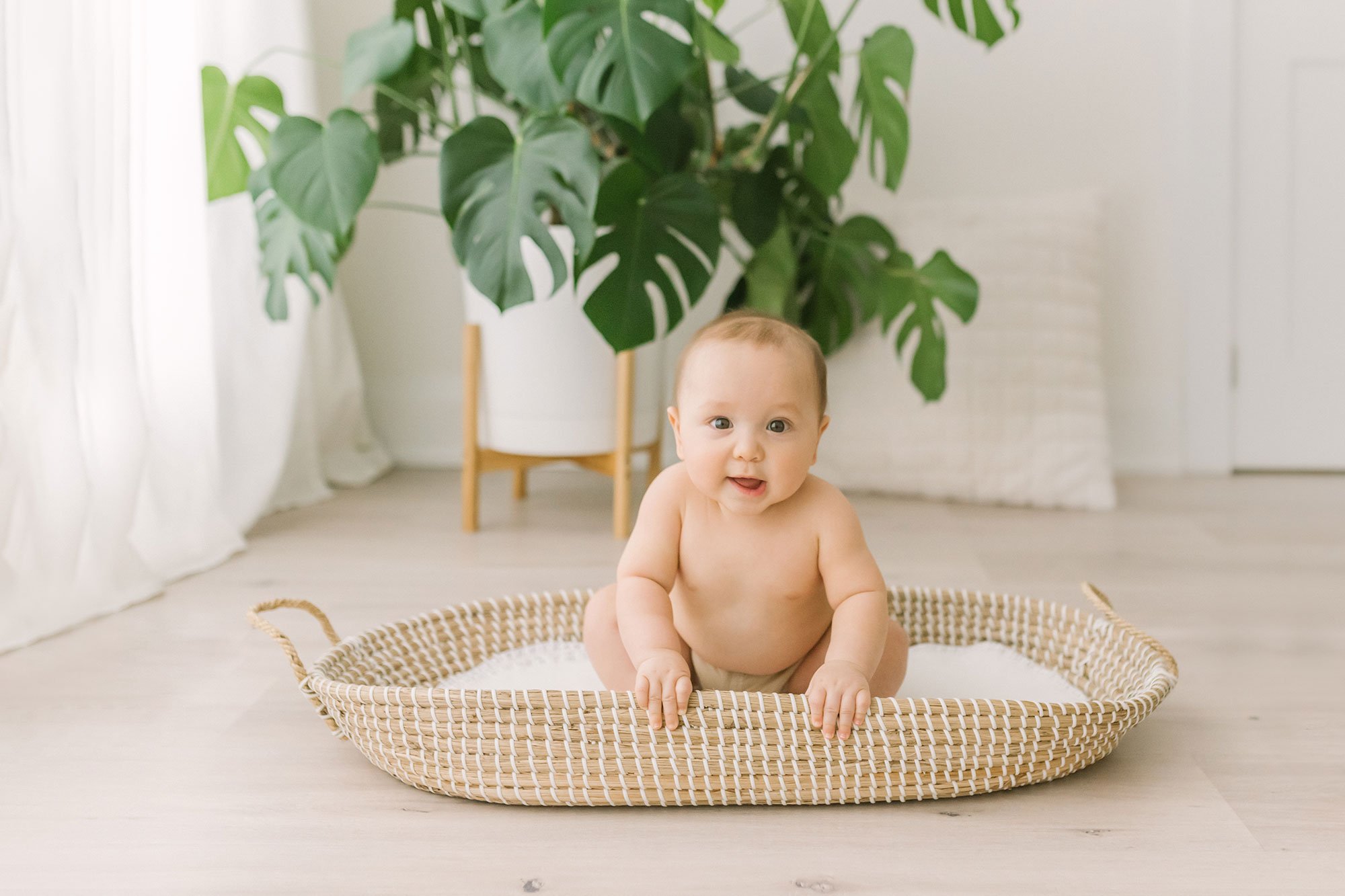 Six Month Sitter Photography