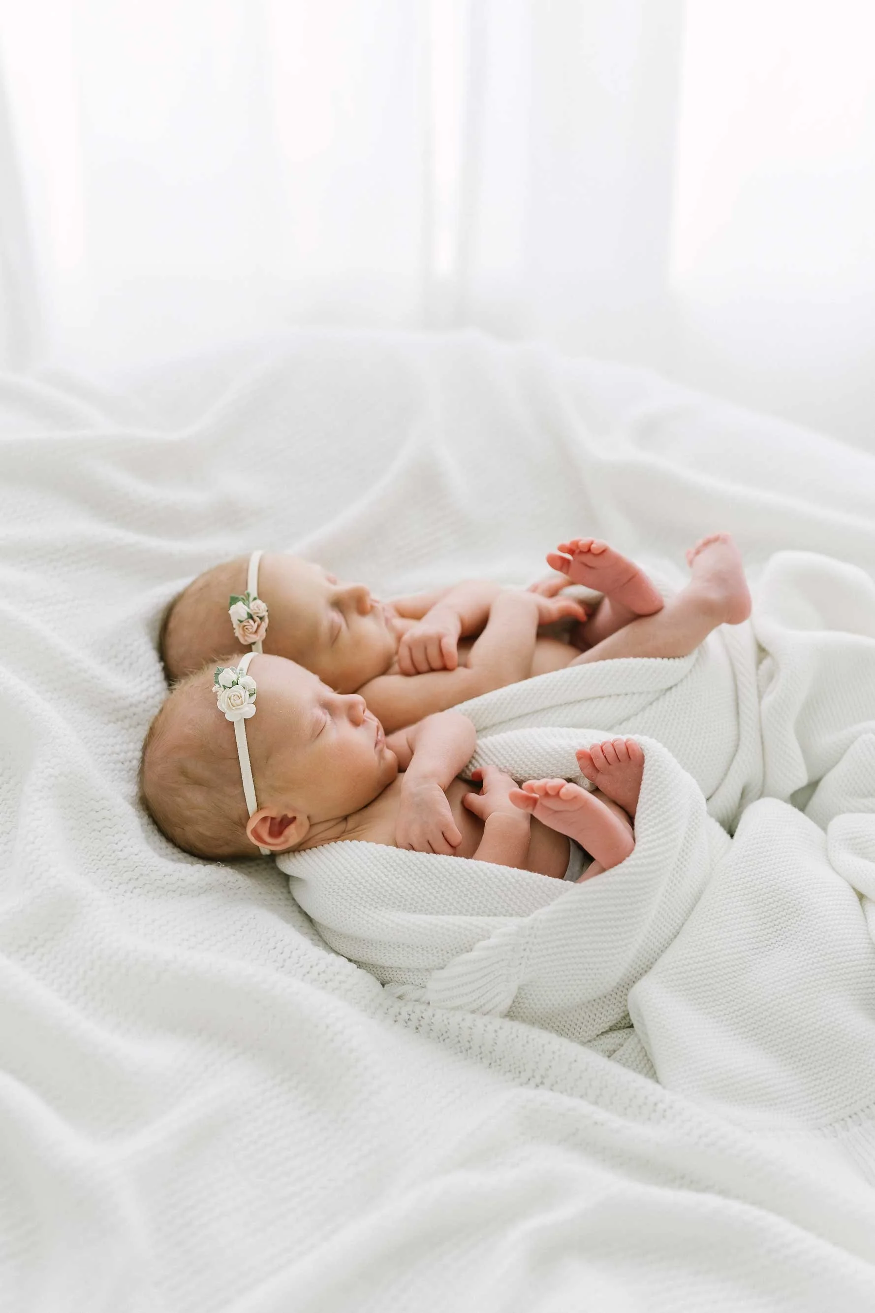 Newborn Sessions