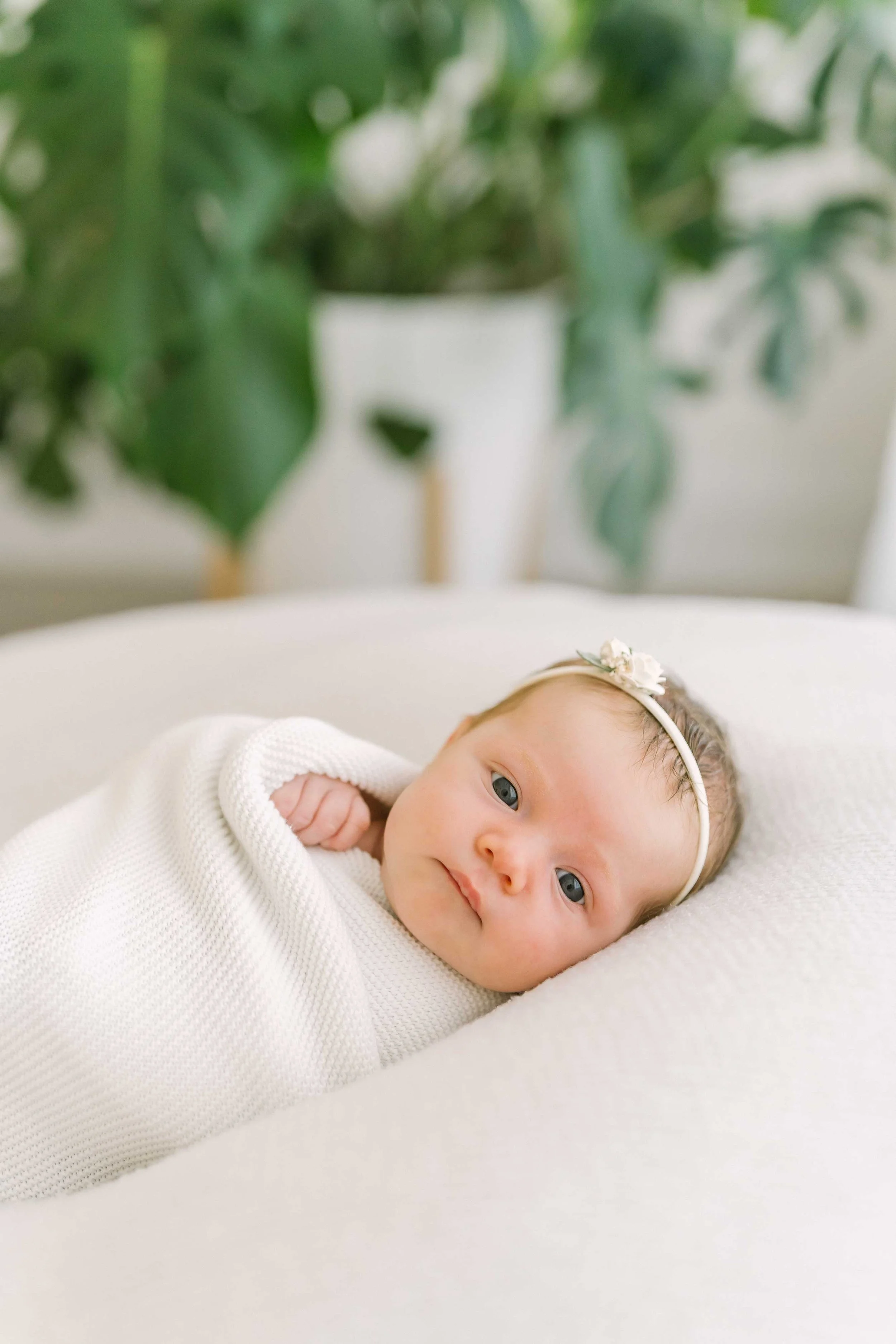 Newborn sessions 