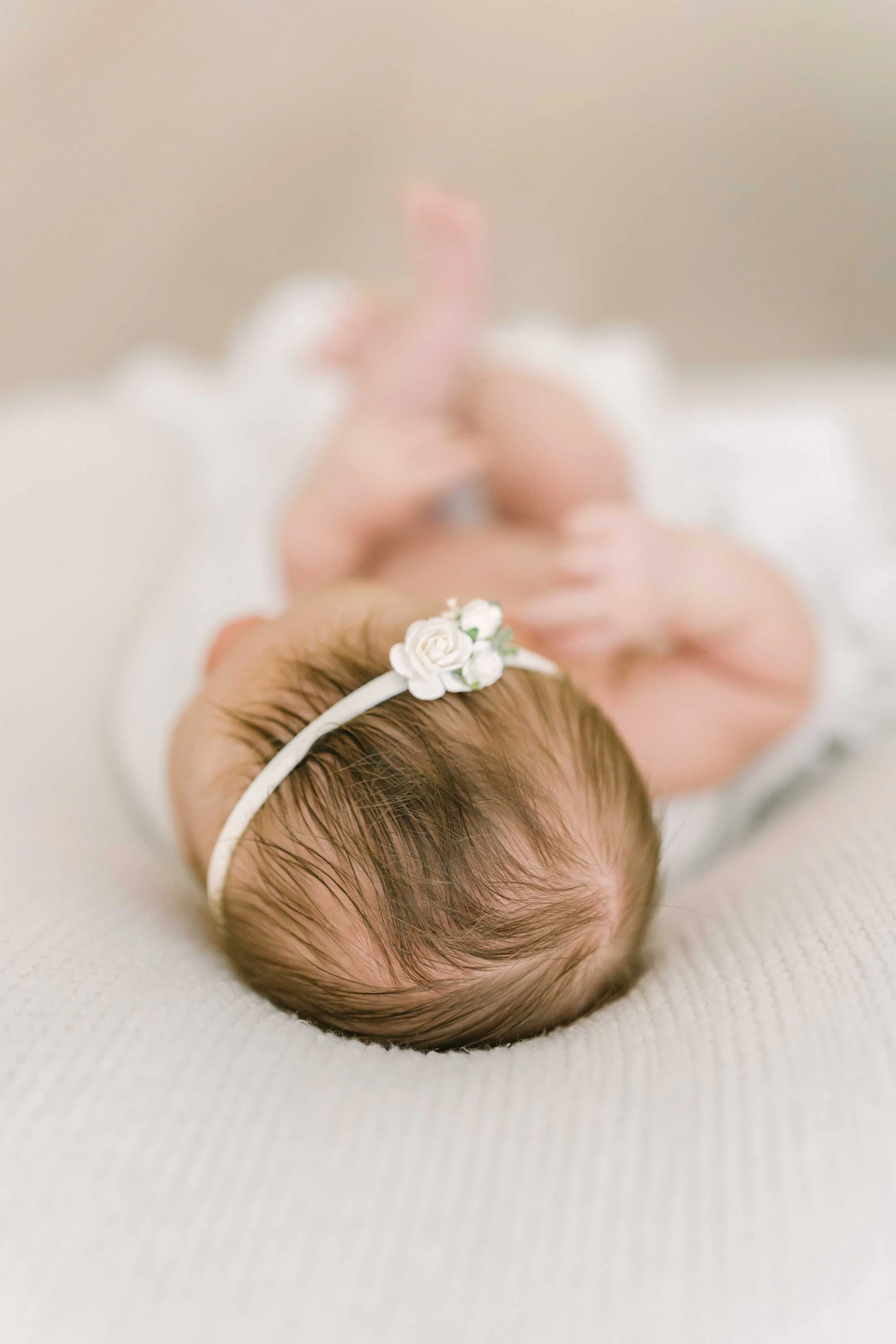 Newborn sessions 