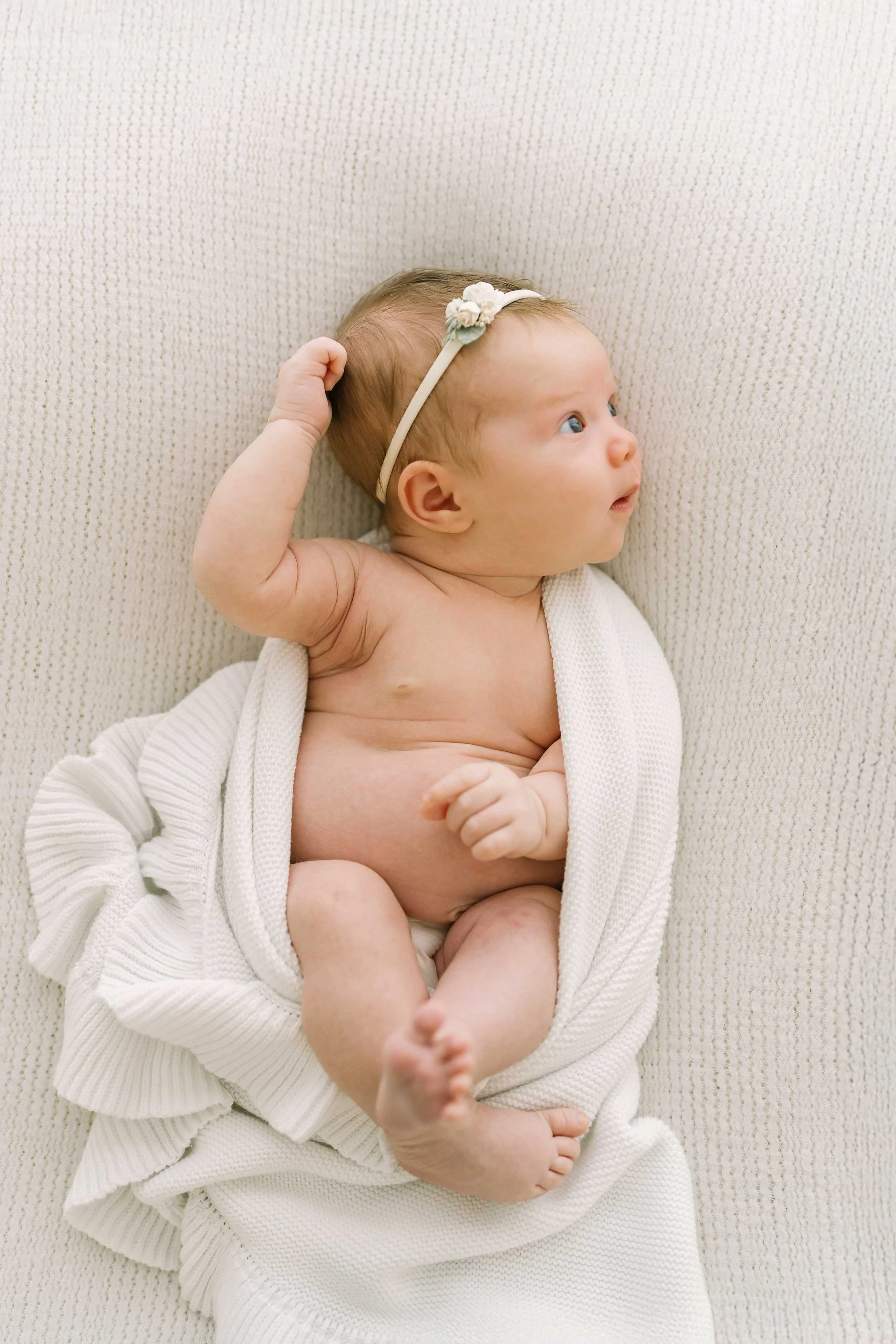Newborn sessions 