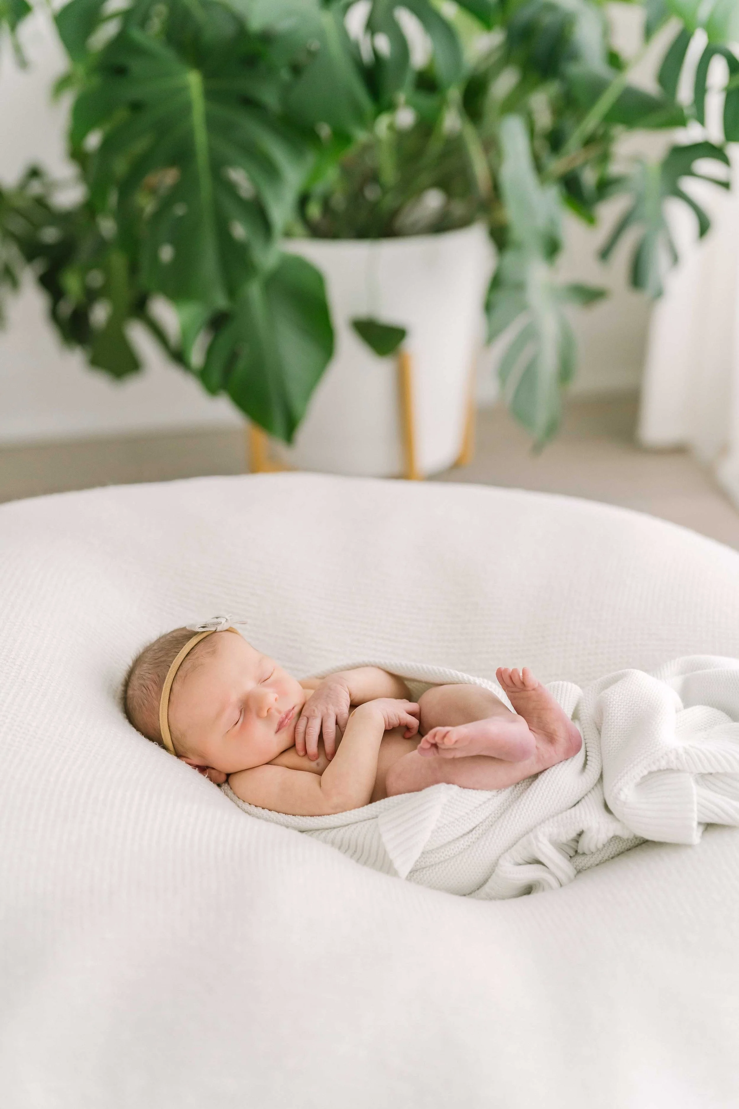 newborn session