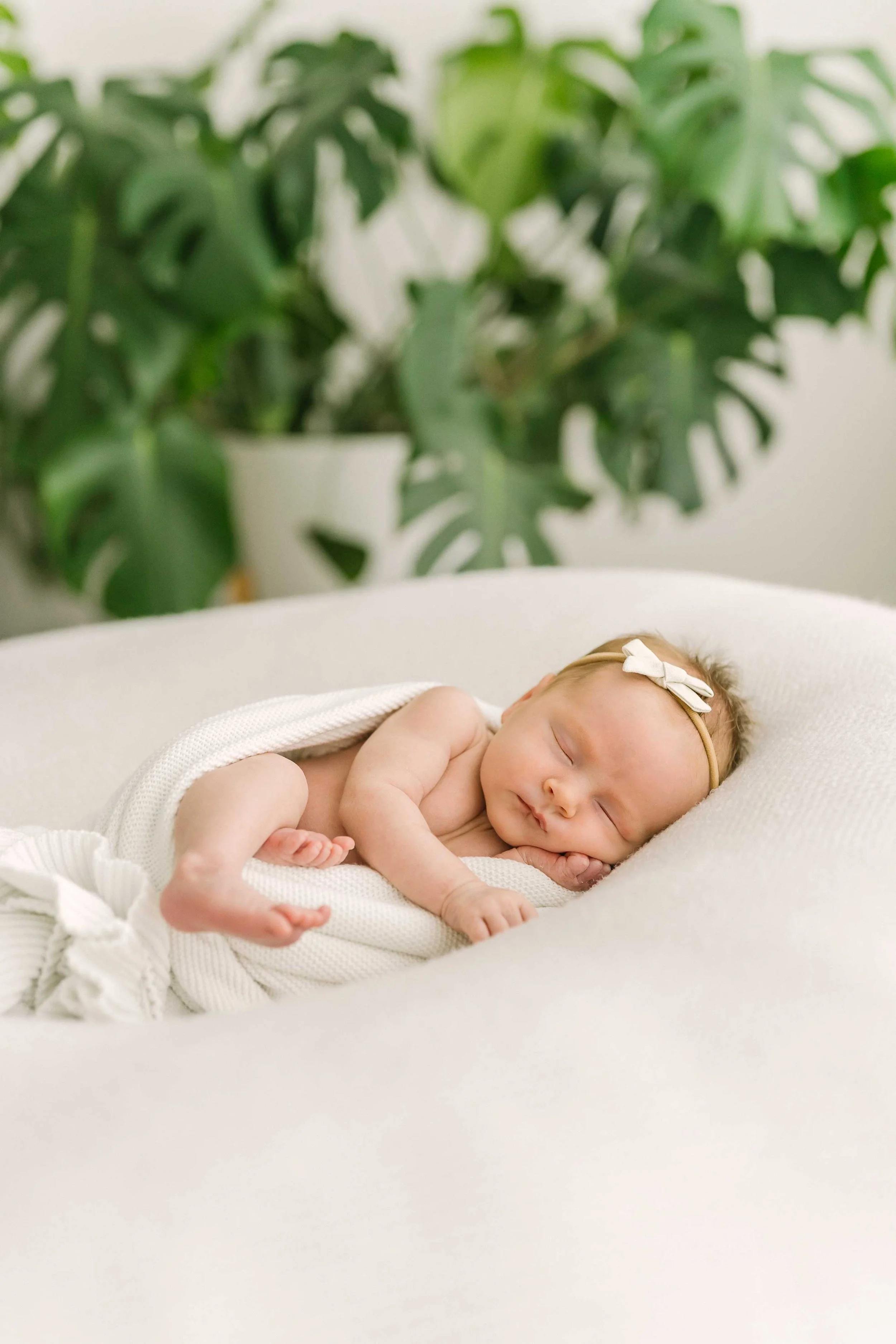 newborn session