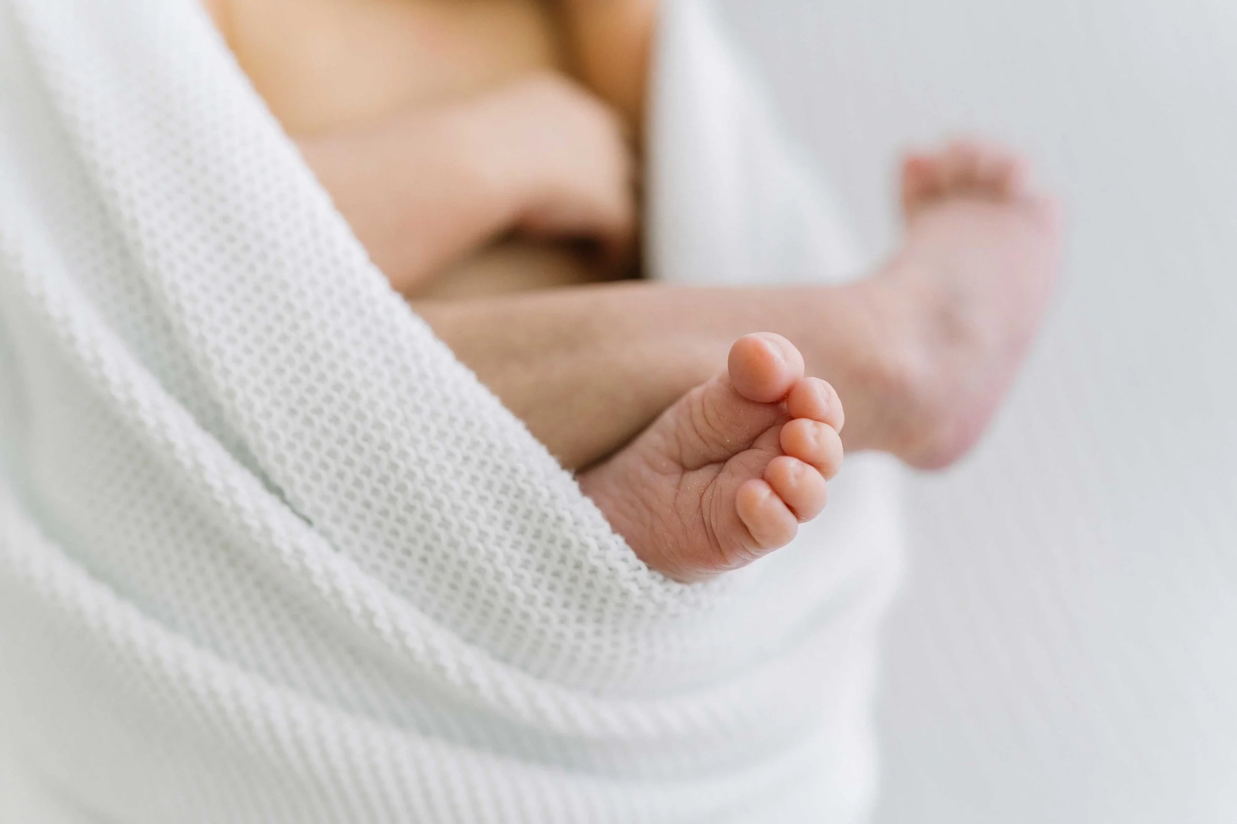 Family Photography Session