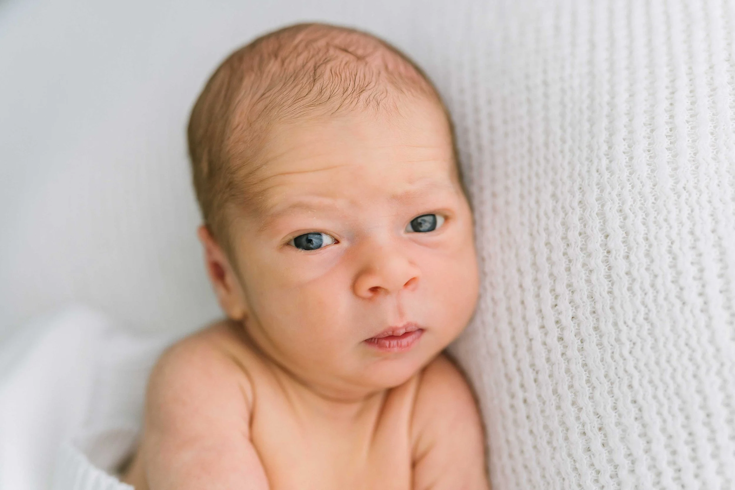 Newborn sessions 