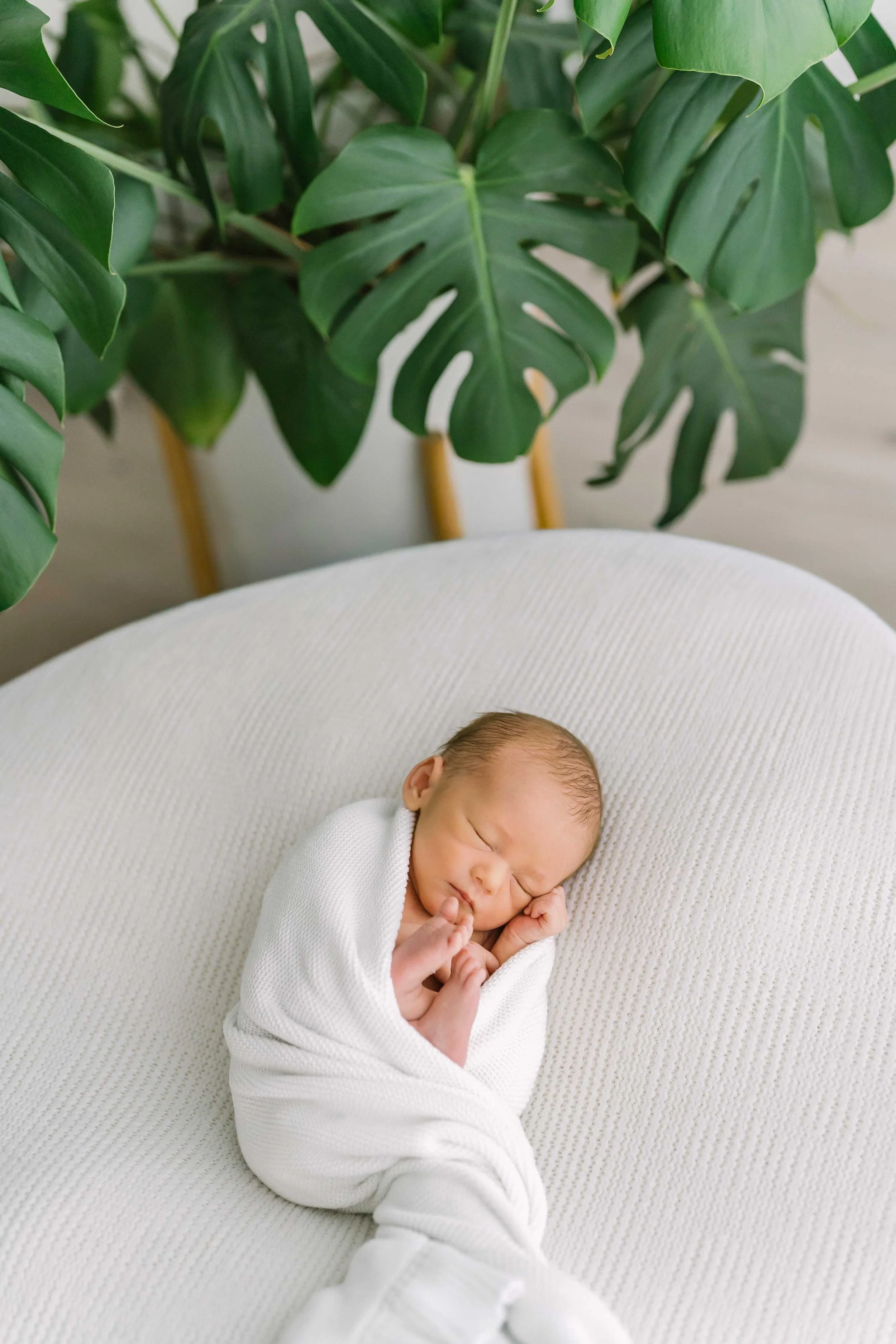 Newborn sessions 