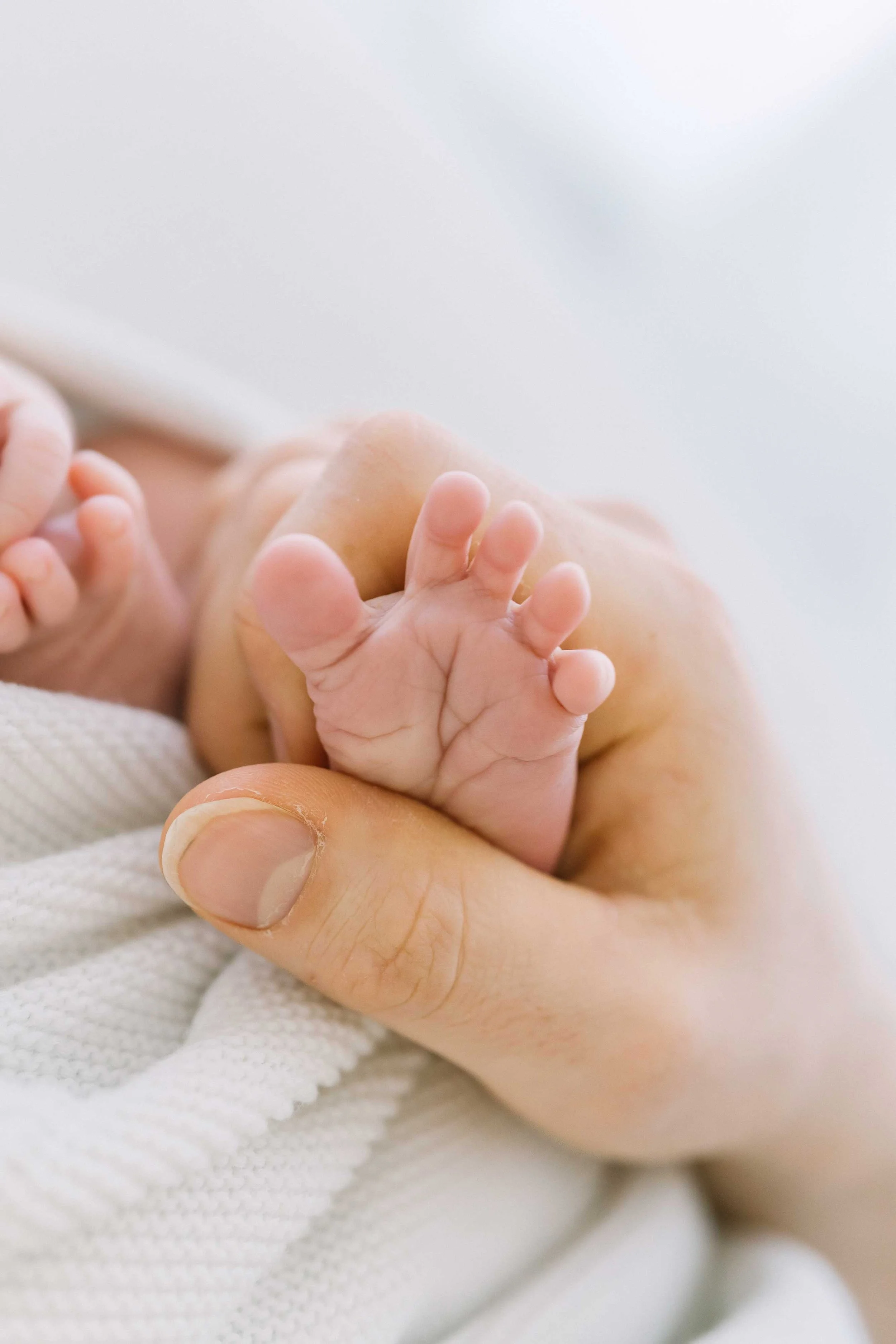 newborn photography