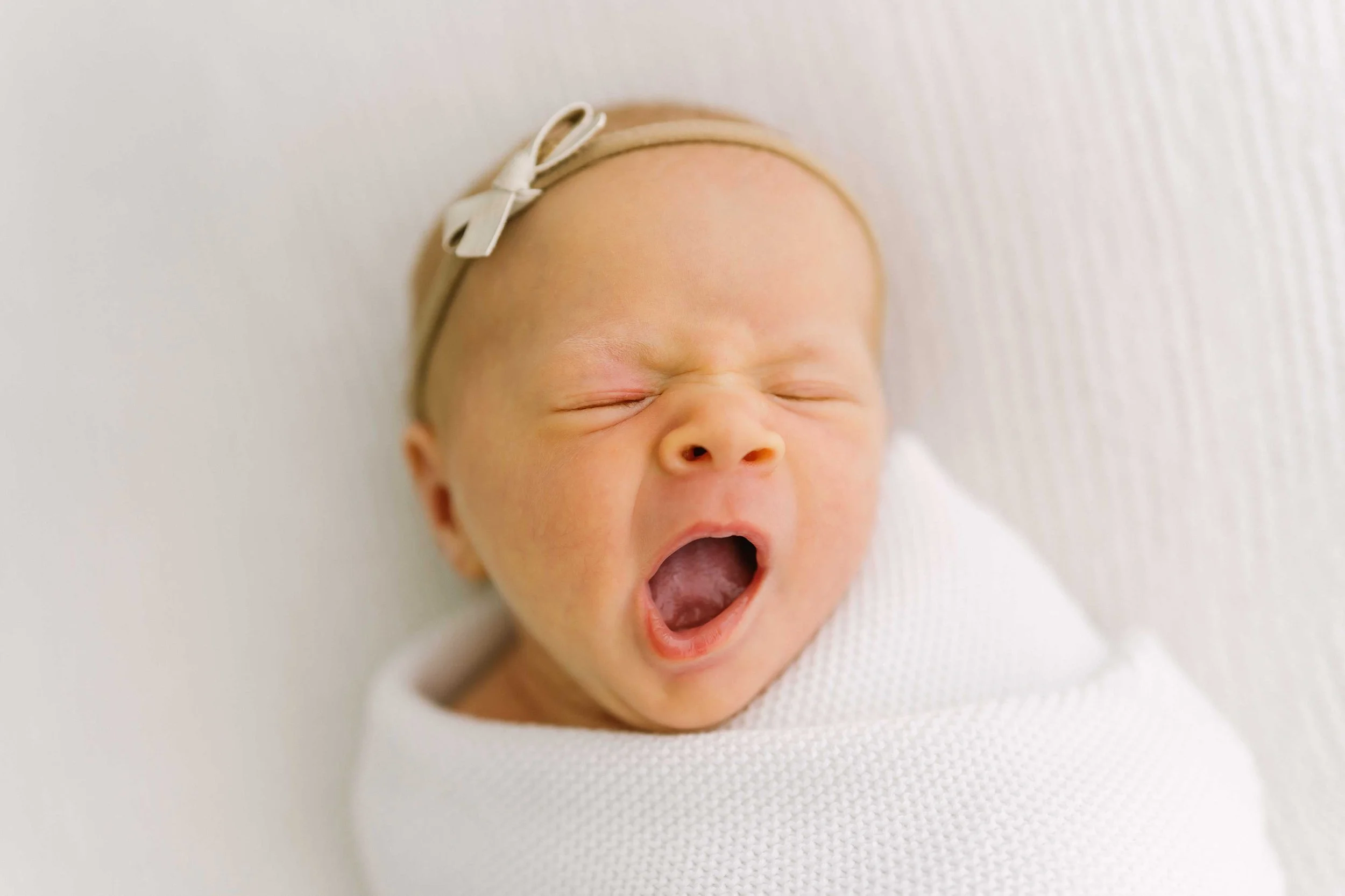 Newborn sessions 