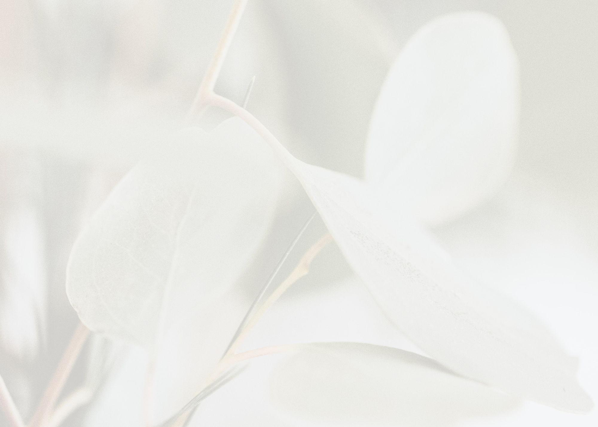 Niagara newborn photographer Reflections in Grimsby Ontario.png