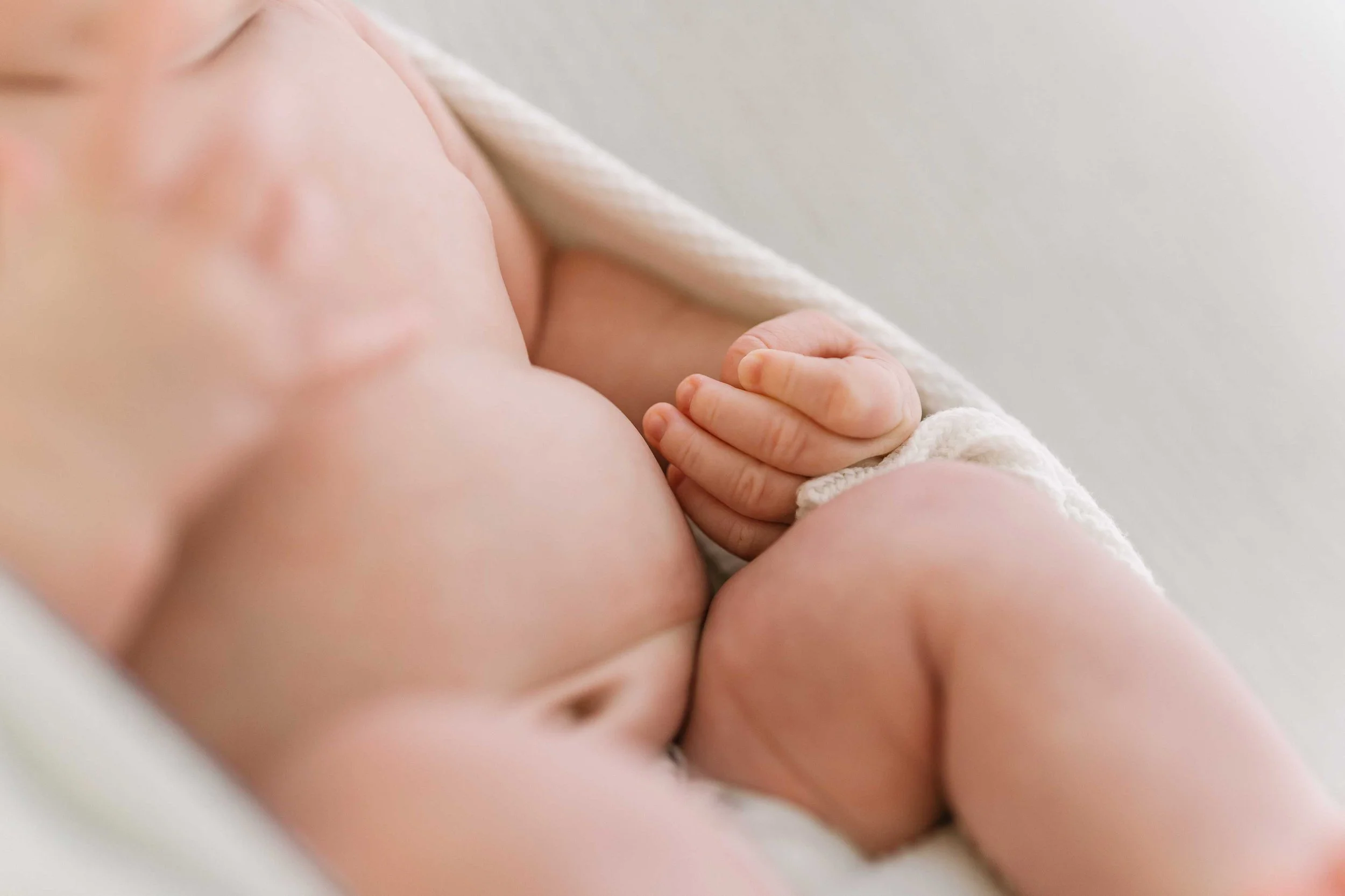 newborn sessions