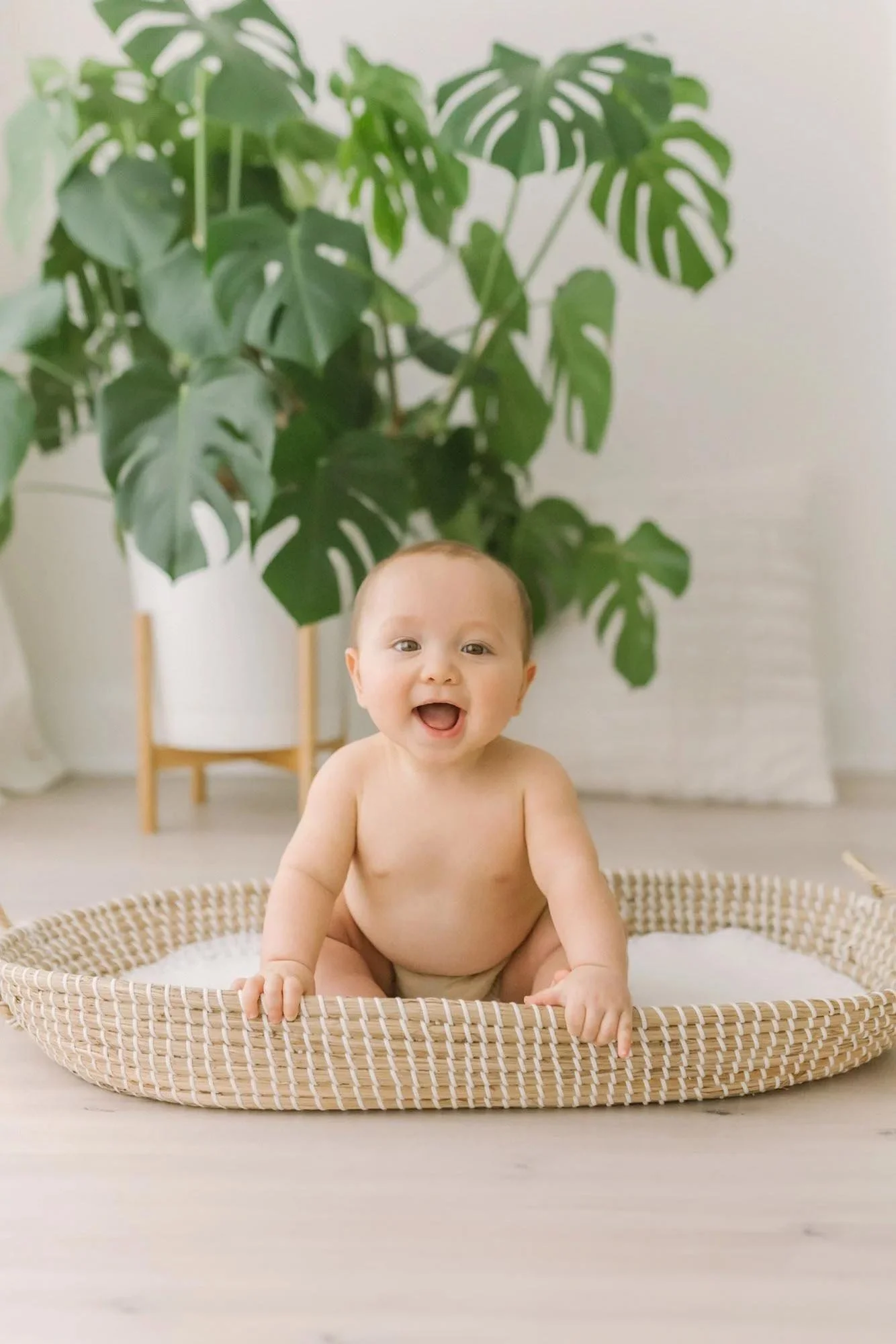 A six month old baby with a large smile sits in a wicker basket in a well-lit studio with a large potted plant in the background at photography studio in Niagara region, Ontario.