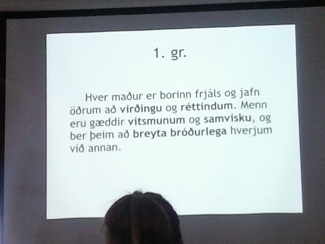 1. gr. mannréttindasáttmála sameinuðu þjóðanna.