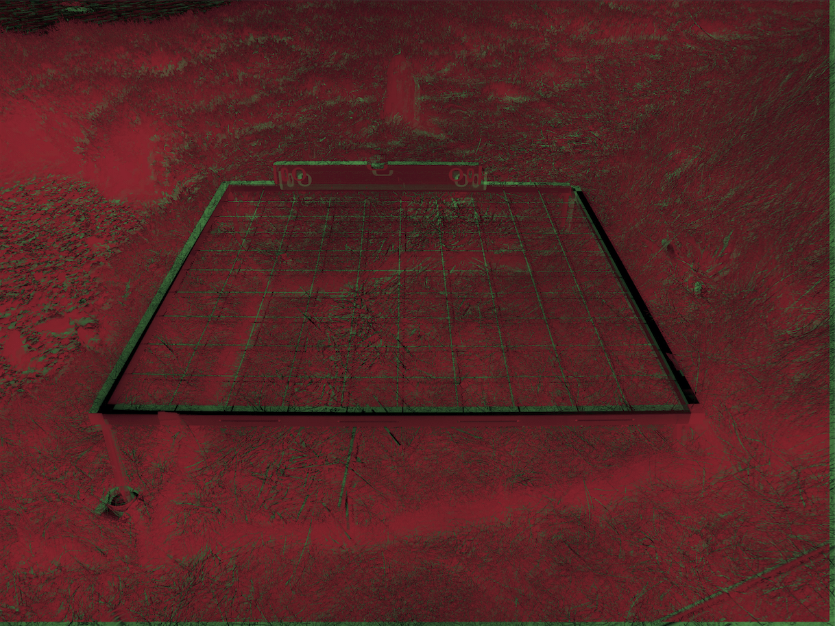 Digital Image for print 2017