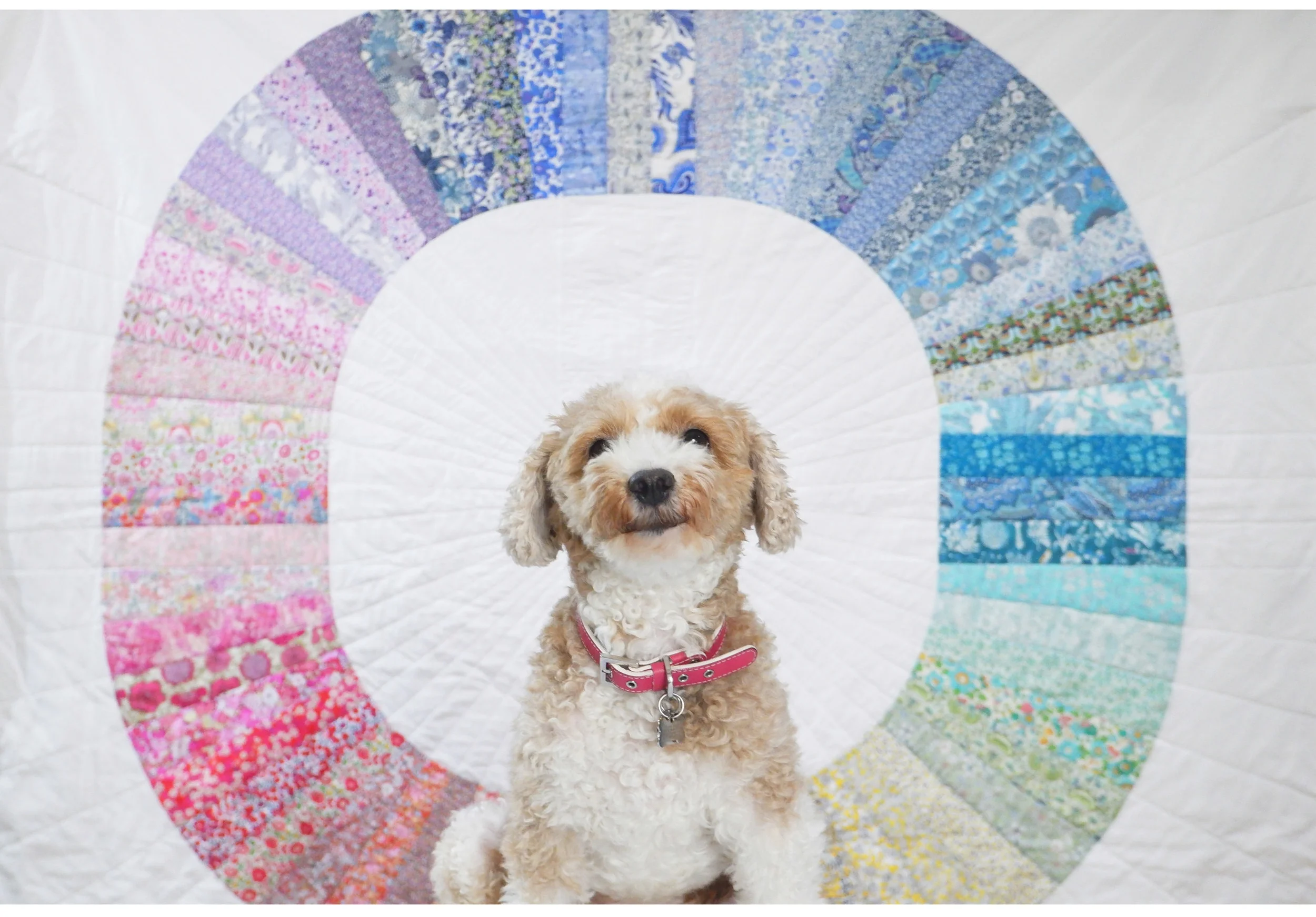 diane in front of squircle.jpg