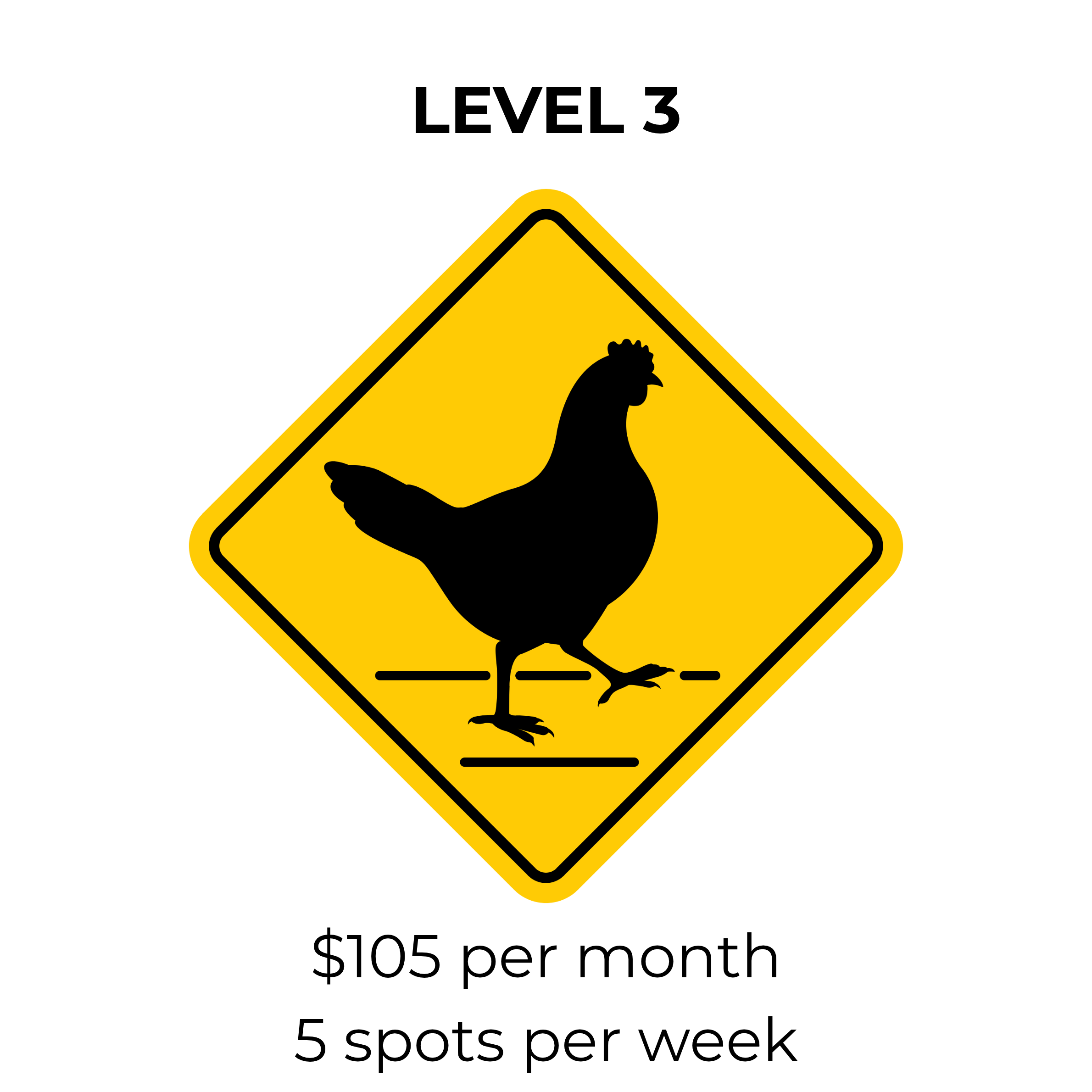 Level 1 3 spots per week (7).png