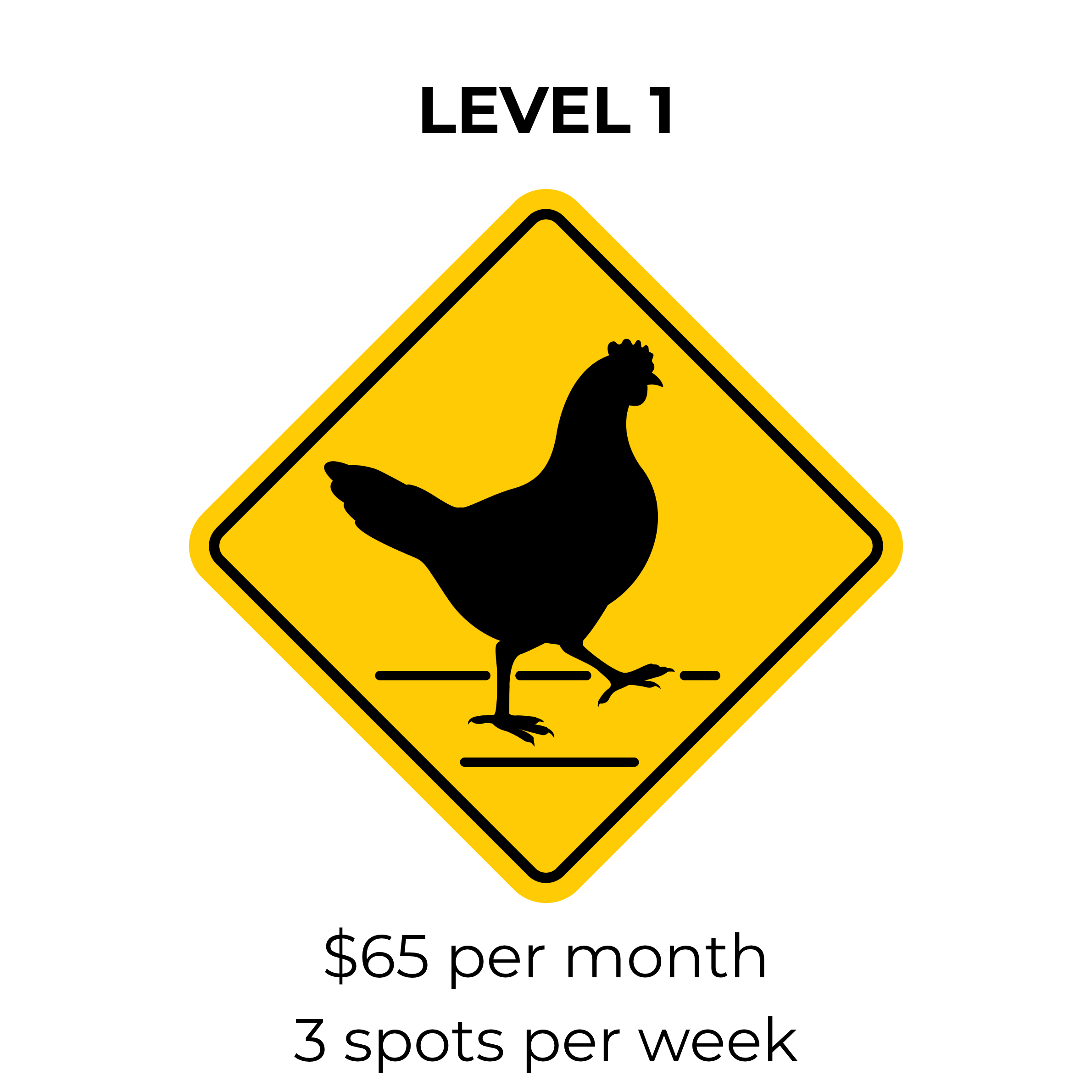 Level 1 3 spots per week (8).png