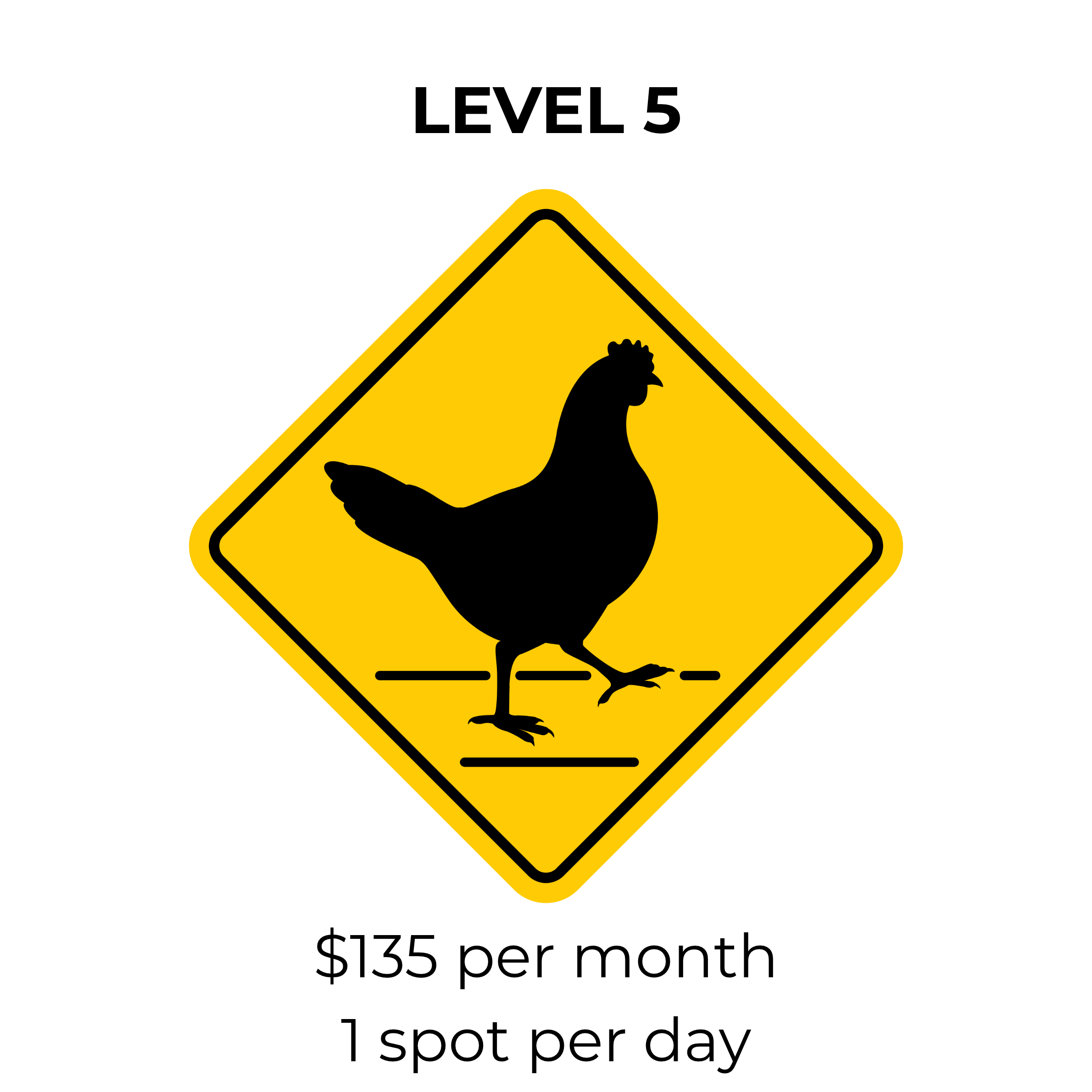 Level 1 3 spots per week (9).png