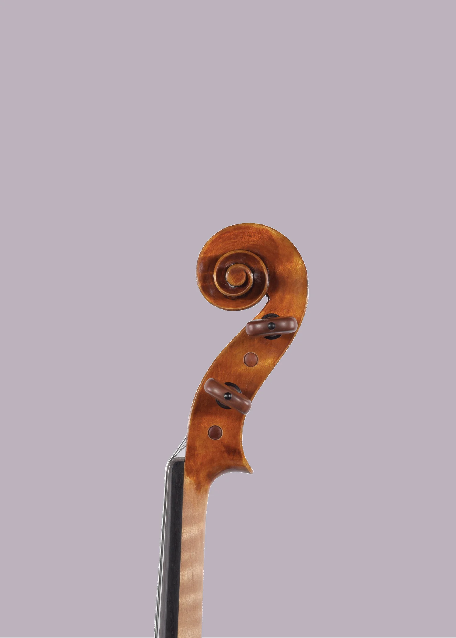 Tanglewood Master Arts