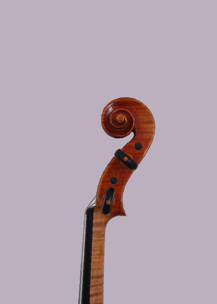 Burled Violin