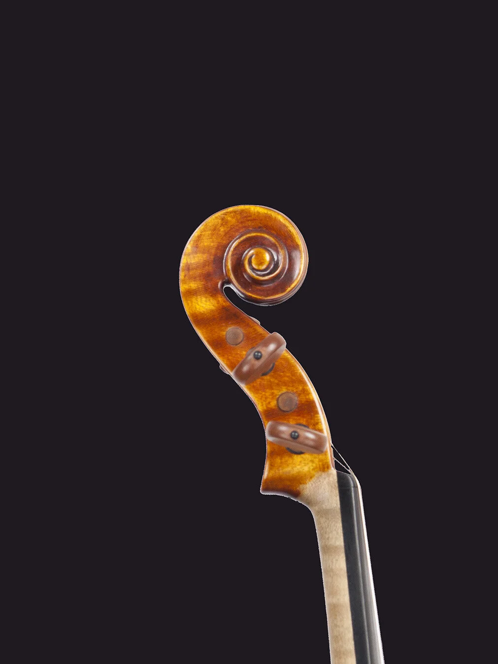 paul-kimble-violin-scroll-side